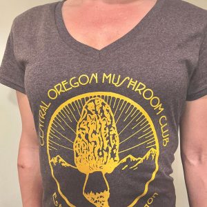 V Neck T-Shirt