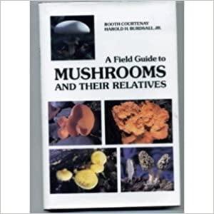 A Field Guide to Mushrooms and Their Relatives