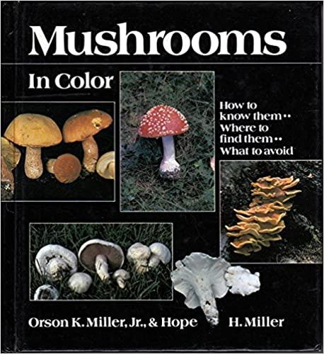 Mushrooms in Color