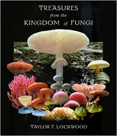 Treasures from the Kingdom of Fungi