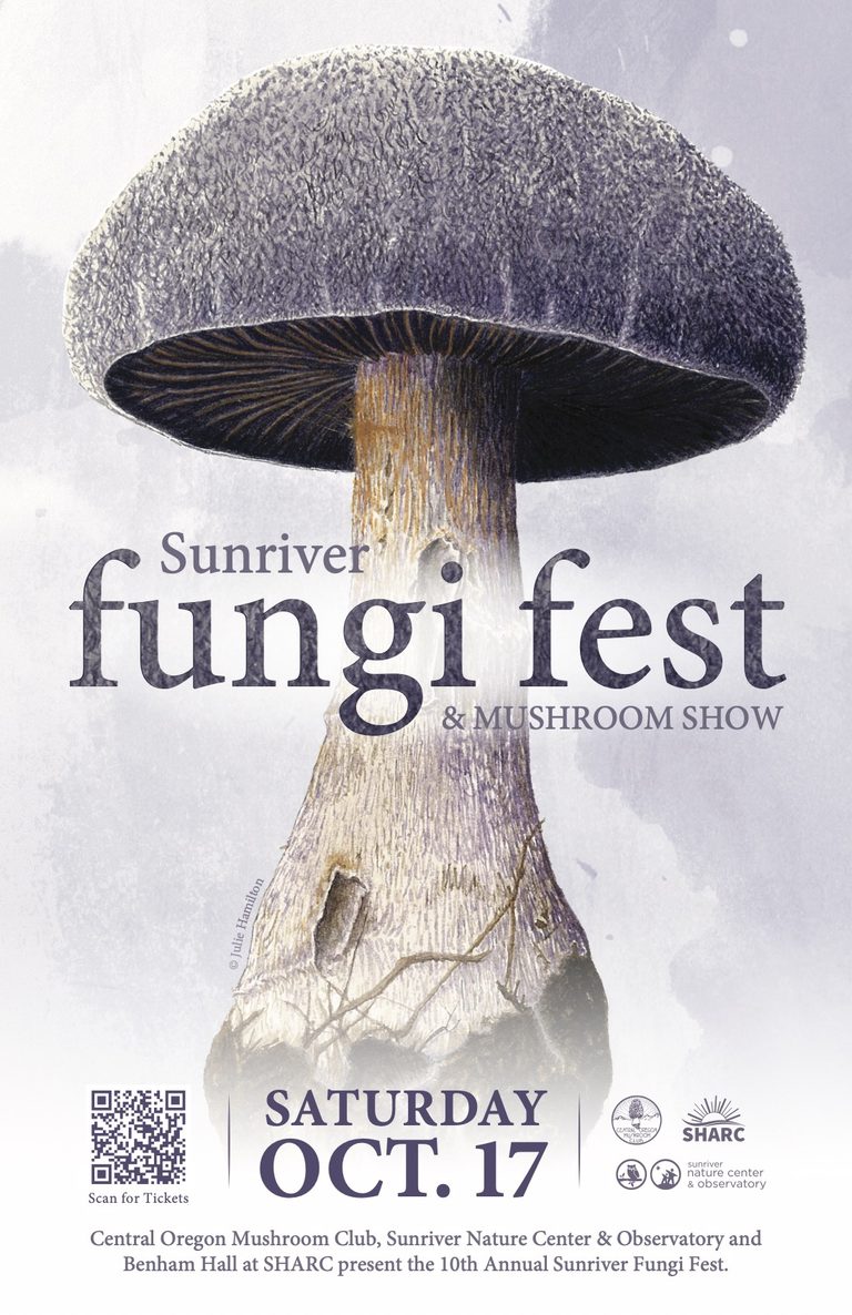 “Fantastic Spores” presented by Else Vellinga